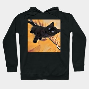 BLUE EYE CAT BLACK Hoodie